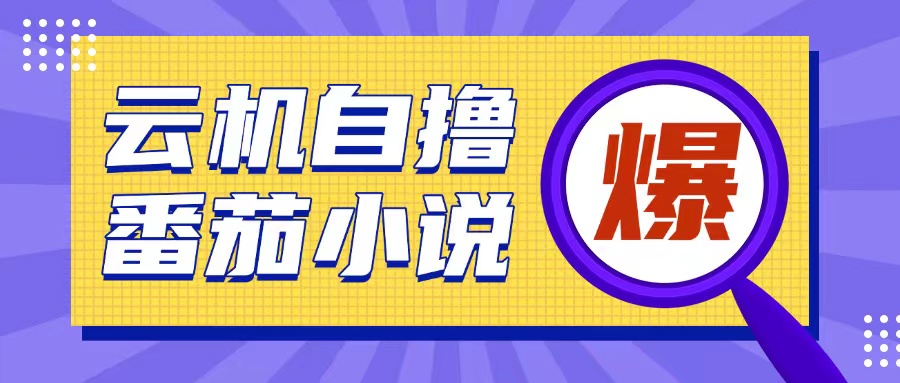 首发云手机自撸小说玩法，10块钱成本可撸200+收益操作简单【揭秘】-南友云赚