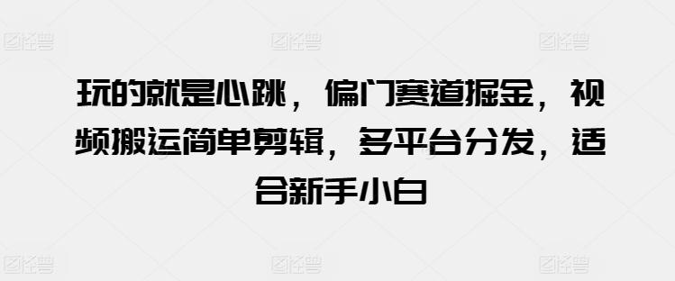 玩的就是心跳，偏门赛道掘金，视频搬运简单剪辑，多平台分发，适合新手小白【揭秘】-南友云赚
