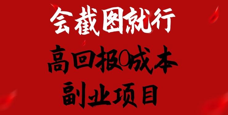 会截图就行，高回报0成本副业项目，卖离婚模板一天1.5k+【揭秘】-南友云赚