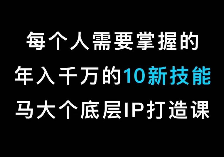 马大个的IP底层逻辑课，​每个人需要掌握的年入千万的10新技能，约会底层IP打造方法！-南友云赚