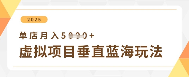 虚拟项目垂直玩法，实现单店月入5k+-南友云赚