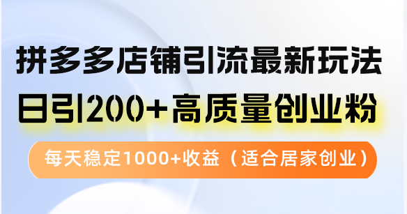 拼多多店铺引流最新玩法，日引200+高质量创业粉，每天稳定1000+收益(…-南友云赚