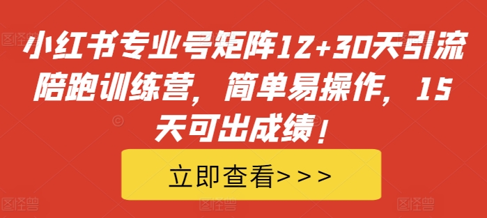 小红书专业号矩阵12+30天引流陪跑训练营，简单易操作，15天可出成绩!-南友云赚