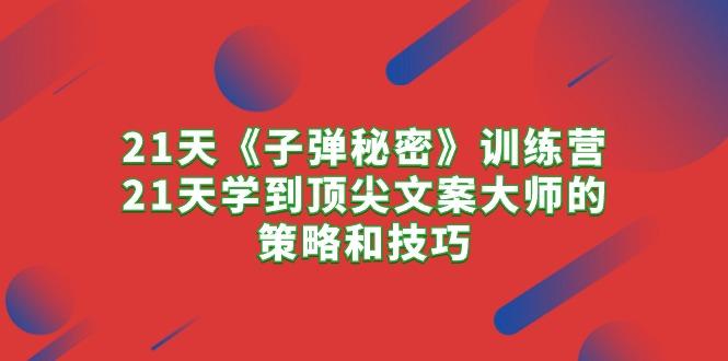 21天《子弹秘密》训练营，21天学到顶尖文案大师的策略和技巧-南友云赚