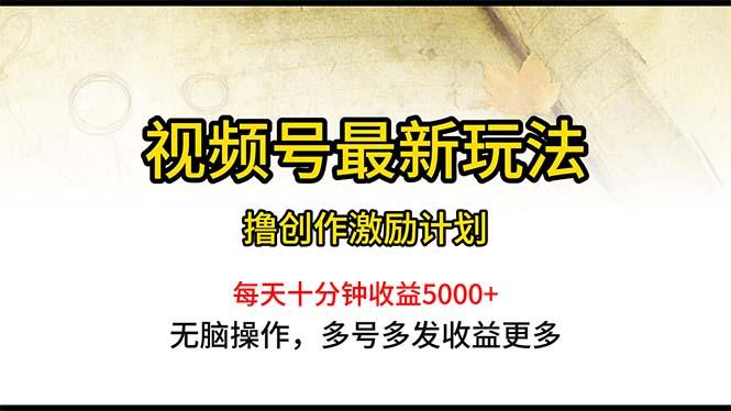 视频号最新玩法，每日一小时月入5000+-南友云赚
