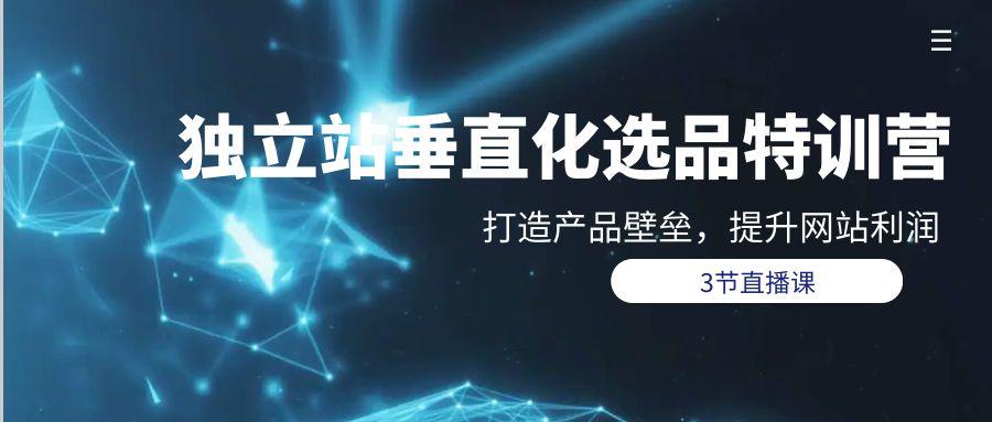 (9925期)独立站-垂直化选品训练营，打造产品壁垒，提升网站利润(3节直播课)-南友云赚