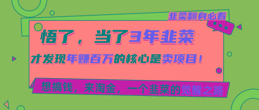 悟了，当了3年韭菜，才发现网赚圈年赚100万的核心是卖项目，含泪分享！-南友云赚
