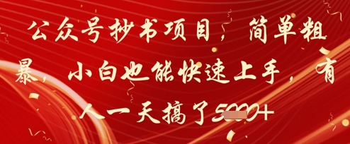 公众号抄书项目，简单粗暴，小白也能快速上手，有人一天搞了1k+-南友云赚