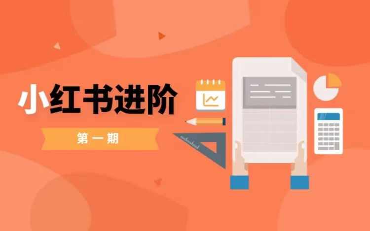 小红书进阶篇，零基础小白实战课，普通人变现的课程-南友云赚