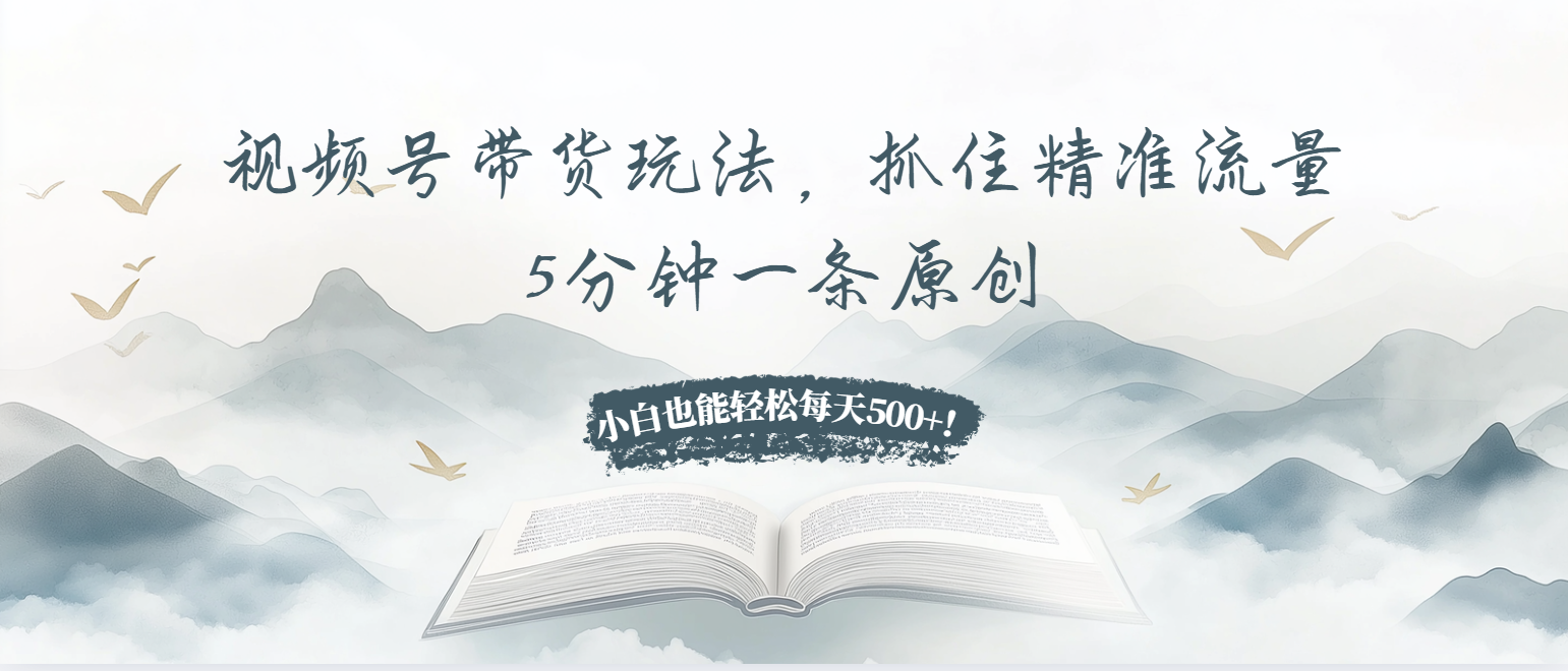 视频号带货玩法，抓住精准流量，5分钟一条原创，小白也能轻松每天500+！-南友云赚