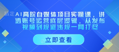 AI高阶自媒体项目实操课，讲透账号运营底层逻辑，从发布视频到规避违规一网打尽-南友云赚
