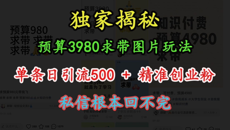 预算3980求带 图片玩法，单条日引流500+精准创业粉，私信根本回不完-南友云赚