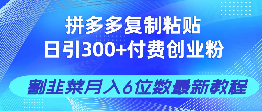 拼多多复制粘贴日引300+付费创业粉，割韭菜月入6位数最新教程！-南友云赚