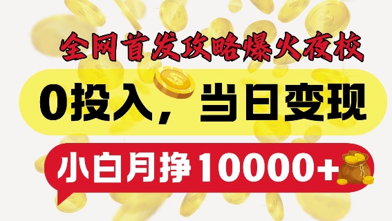 全网首发爆火夜校，0投入，当日变现，小白轻松月入1w+【揭秘】-南友云赚