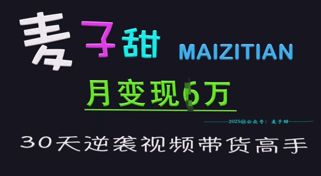 麦子甜30天逆袭视频带货高手，单月变现6W加特训营-南友云赚