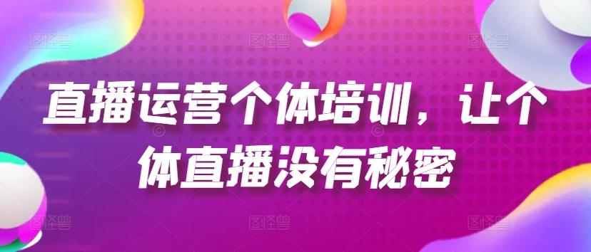 直播运营个体培训，让个体直播没有秘密，起号、货源、单品打爆、投流等玩法-南友云赚
