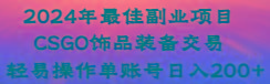 2024年最佳副业项目 CSGO饰品装备交易 轻易操作单账号日入200+-南友云赚