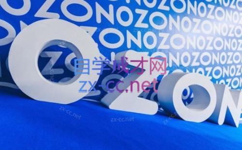 森哥·出海俄罗斯电商实操(2024)-南友云赚