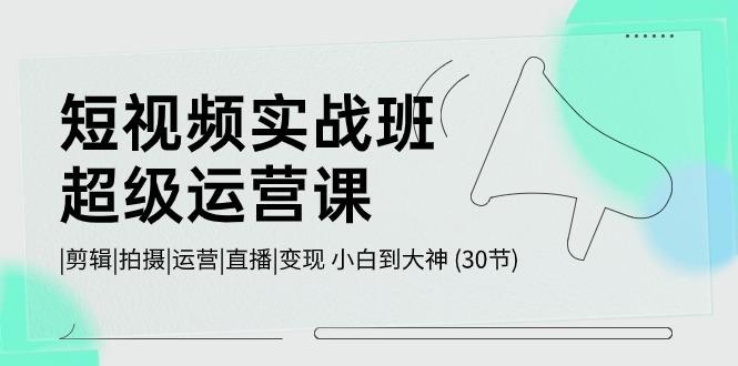 短视频实战班超级运营课 |剪辑|拍摄|运营|直播|变现 小白到大神 (30节)-南友云赚