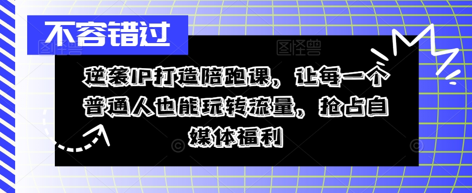 逆袭IP打造陪跑课，让每一个普通人也能玩转流量，抢占自媒体福利-南友云赚