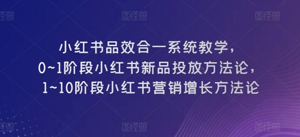 小红书品效合一系统教学，​0~1阶段小红书新品投放方法论，​1~10阶段小红书营销增长方法论-南友云赚