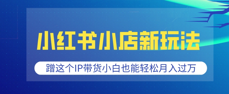 小红书小店新玩法，蹭这个IP带货，小白也能轻松月入过W【揭秘】-南友云赚