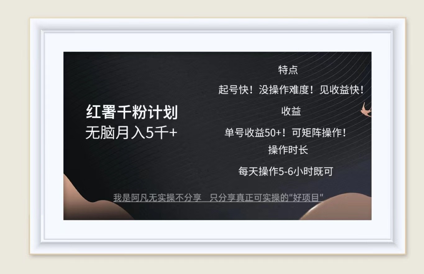 红薯千粉计划无脑月入5千+！既做既赚！-南友云赚
