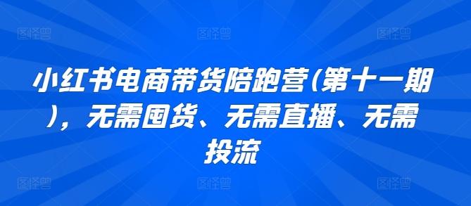 小红书电商带货陪跑营(第十一期)，无需囤货、无需直播、无需投流-南友云赚