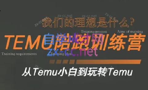 苗苗·拼多多跨境（temu）课程-南友云赚