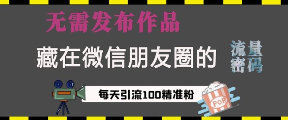 藏在微信朋友圈的流量密码，无需发布作品，单日引流100+精准创业粉【揭秘】-南友云赚