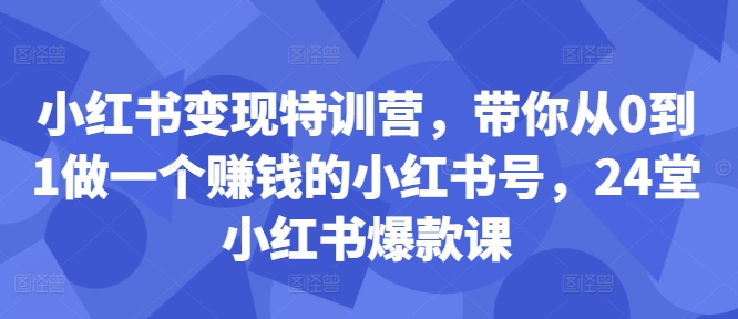 小红书变现特训营，带你从0到1做一个赚钱的小红书号，24堂小红书爆款课-南友云赚