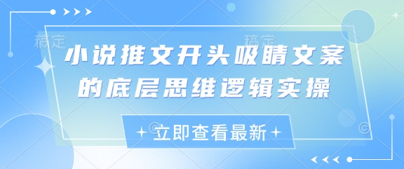 小说推文开头吸睛文案的底层思维逻辑实操-南友云赚