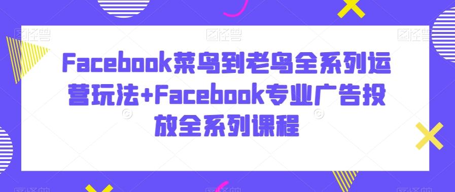 Facebook菜鸟到老鸟全系列运营玩法+Facebook专业广告投放全系列课程-南友云赚