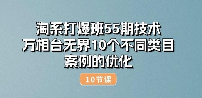 淘系打爆班55期技术：万相台无界10个不同类目案例的优化(10节)-南友云赚