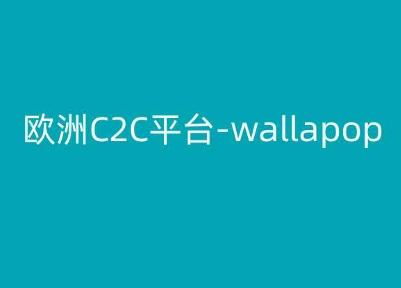 欧洲C2C平台-wallapop-kim跨境电商教程-南友云赚