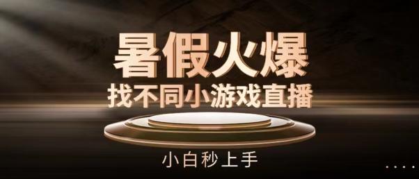 暑假火爆找不同小游戏直播间，小白秒上手【揭秘】-南友云赚