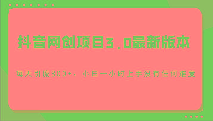 抖音网创项目3.0最新版本，每天引流300+，小白一小时上手没有任何难度-南友云赚