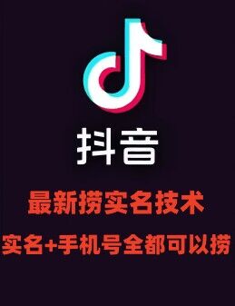 最新技术抖音捞实名+捞手机号技术，抖音直播封禁释放十名/手机号，直接替换出来!-南友云赚