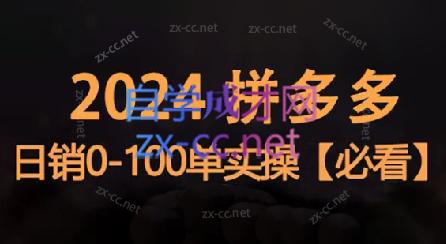 恒哥·2024拼多多日销0-100单实操-南友云赚