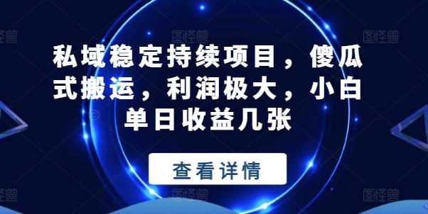 私域稳定持续项目，傻瓜式搬运，利润极大，小白单日收益几张【揭秘】-南友云赚