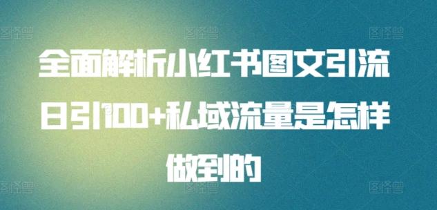 全面解析小红书图文引流日引100+私域流量是怎样做到的【揭秘】-南友云赚