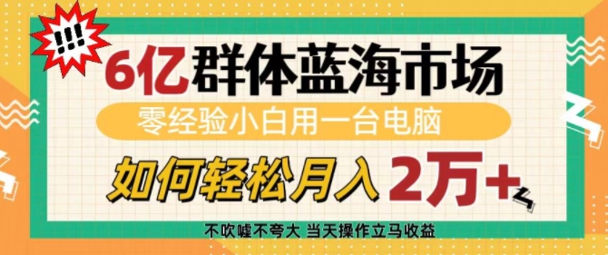 6亿群体蓝海市场，零经验小白用一台电脑，如何轻松月入过w【揭秘】-南友云赚