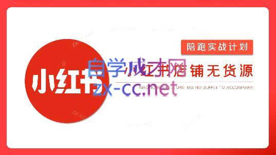 安琪·小红书店铺无货源-南友云赚