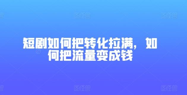 短剧如何把转化拉满，如何把流量变成钱-南友云赚