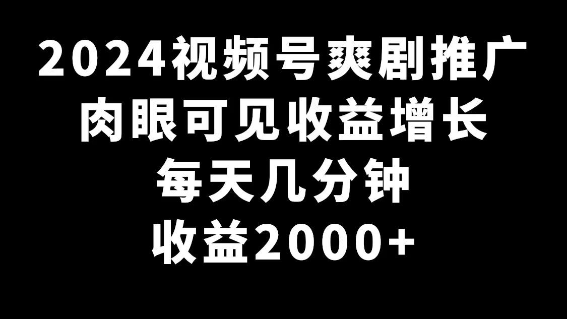 2024视频号爽剧推广，肉眼可见的收益增长，每天几分钟收益2000+-南友云赚