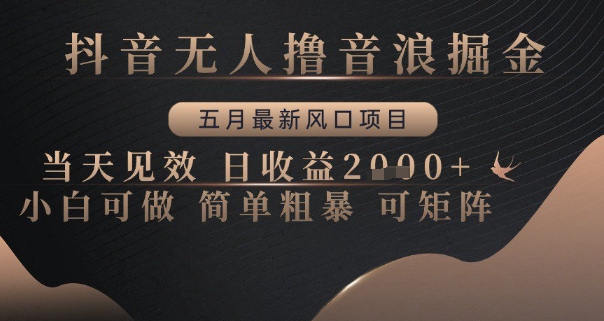 抖音无人撸音浪掘金，五月最新风口项目，当天见效，日收益多张，小白可做简单粗暴可矩阵【揭秘】-南友云赚