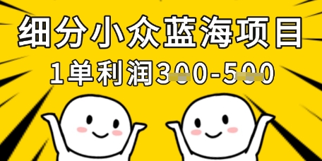 细分小众蓝海项目，一单利润3张，每月收入稳定过1w+-南友云赚