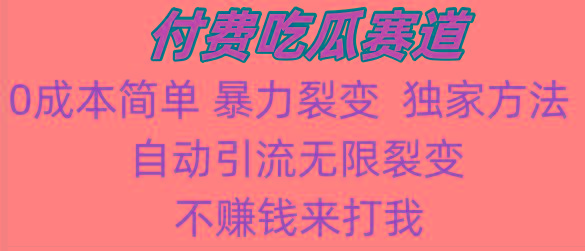 吃瓜付费赛道，暴力无限裂变，0成本，实测日入700+！！！-南友云赚