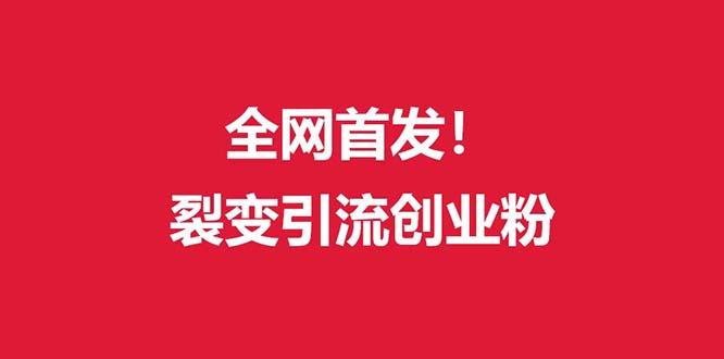 (全网首发)外面收费几千的裂变引流高质量创业粉-南友云赚