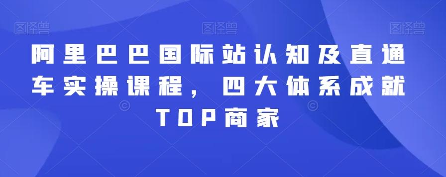阿里巴巴国际站认知及直通车实操课程，四大体系成就TOP商家-南友云赚